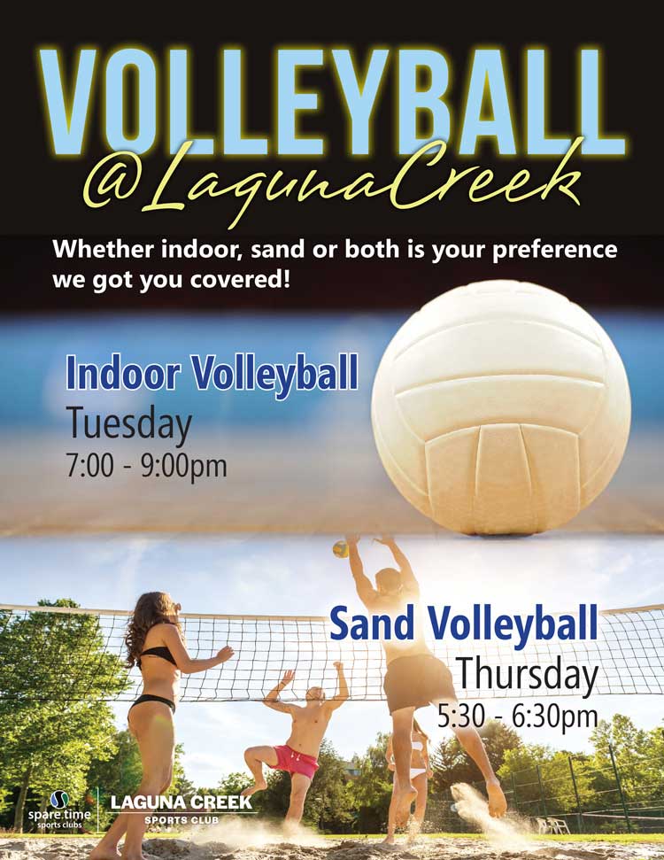 Volleyball promotional banner