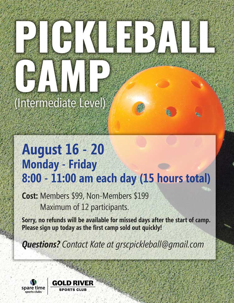 Pickleball Camp Promotional Banner
