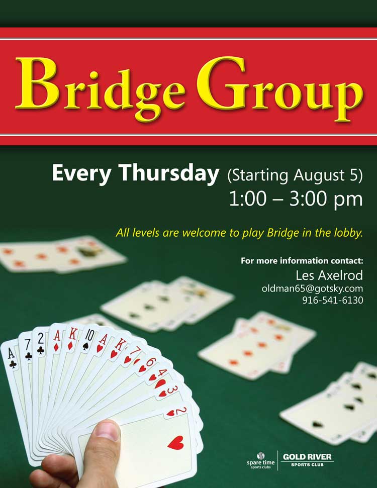 Bridge Group promotional Banner