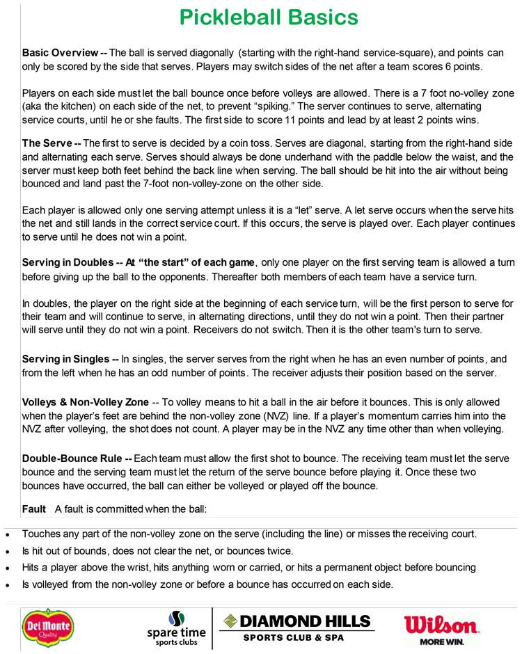 Pickleball Basics Text Banner