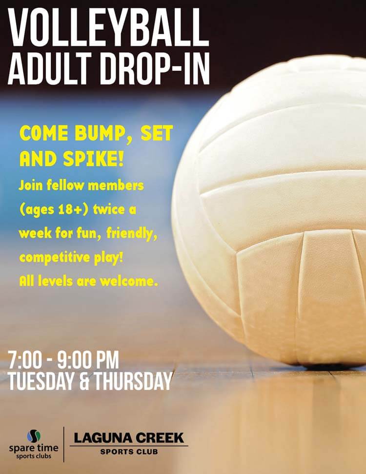 volleyball adult drop-in flyer